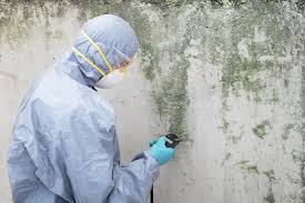 Forensic Mold Investigation in Avilla, IN